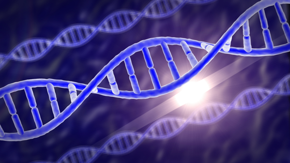 Mitochondrial Disease (4)