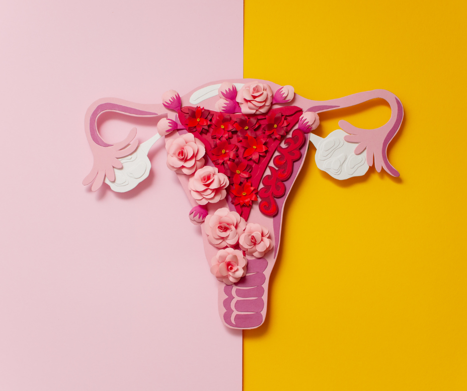 Ovary